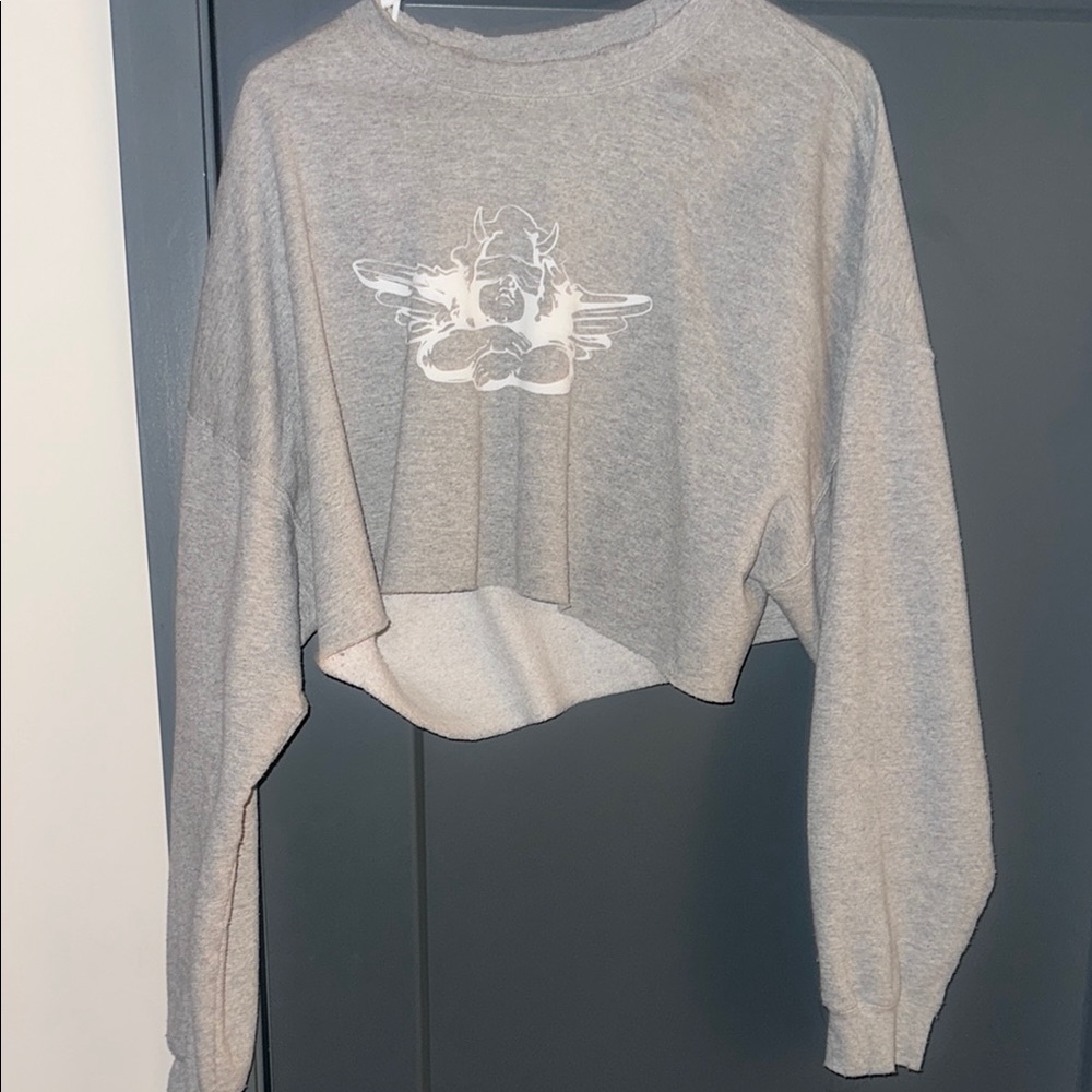 Boys Lie Grey Cropped Sweatshirt with White Graphic